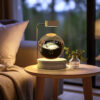 Magical Crystal Ball Night Light – 3D Cosmic Dinosaur LED USB Bedside Lamp for Home & Birthday Gifts