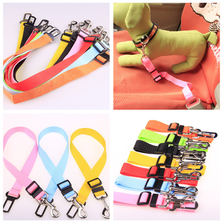 Fixed Strap Polyester Dog Strap Dog Leash Dog Leash - Image 3